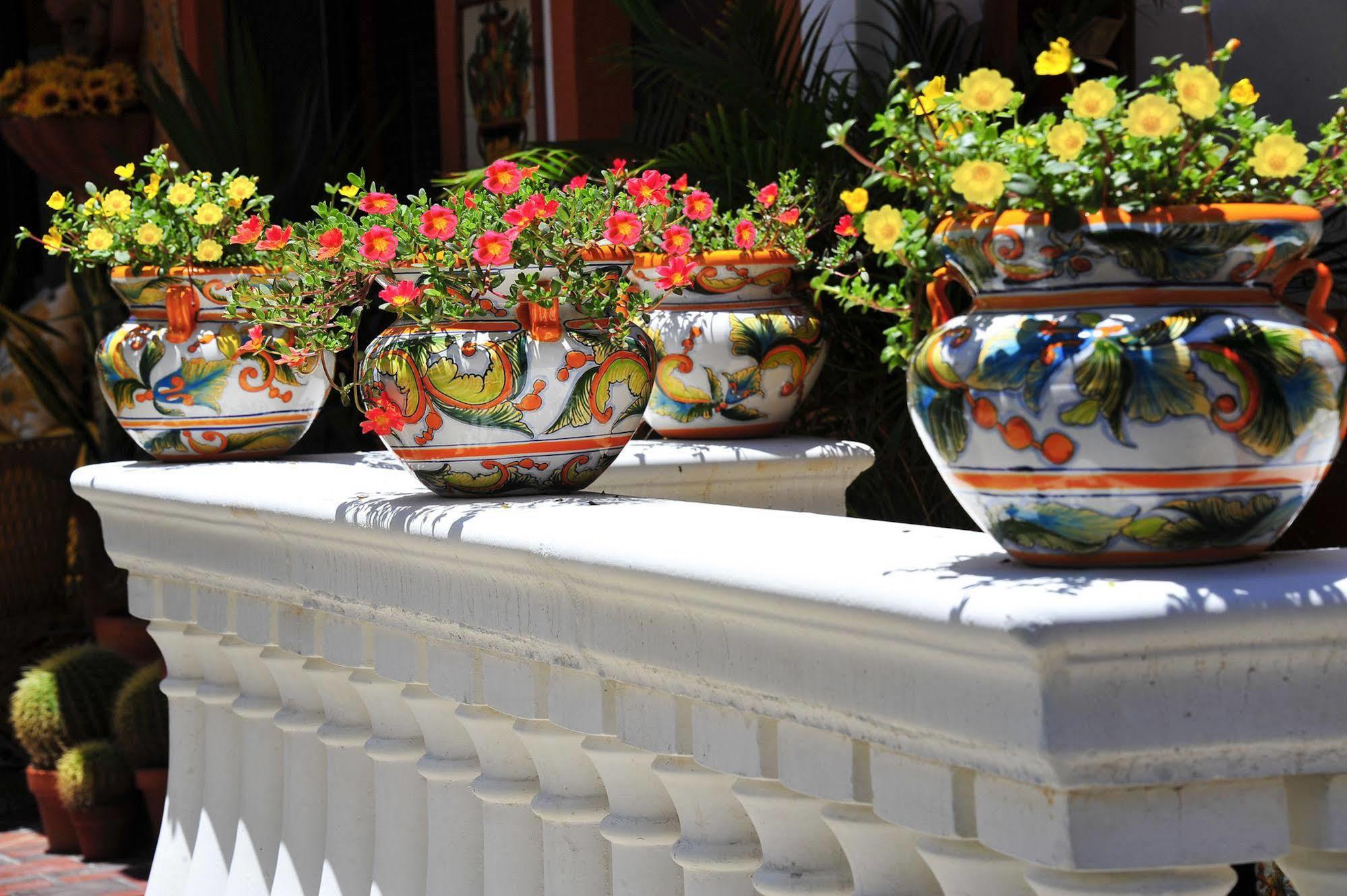 Blue Seas Courtyard Hotel Lauderdale-by-the-Sea Exterior foto